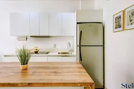 Σπίτι διακοπών Oceanview Roof Pool By 5Th Ave 3Min Walk To Beach Πλάγια Ντελ Κάρμεν
