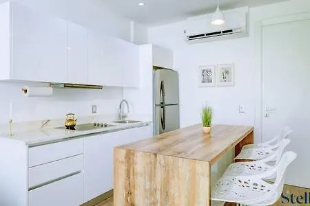 Oceanview Roof Pool By 5Th Ave 3Min Walk To Beach Πλάγια Ντελ Κάρμεν